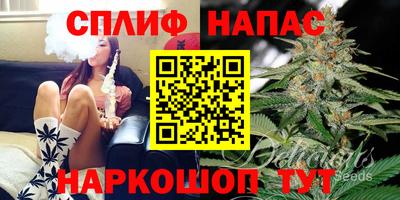 стаф Кунгур