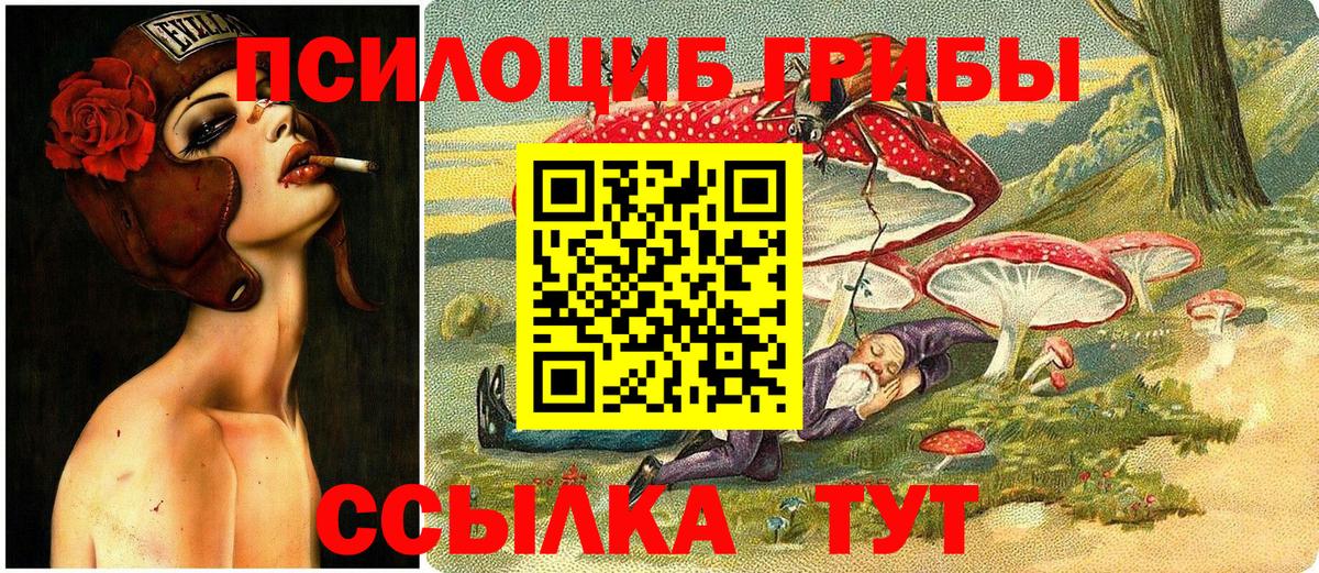 Галлюциногенные грибы прущие грибы Будённовск